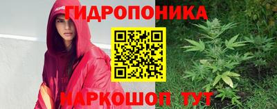 стафф Краснокаменск