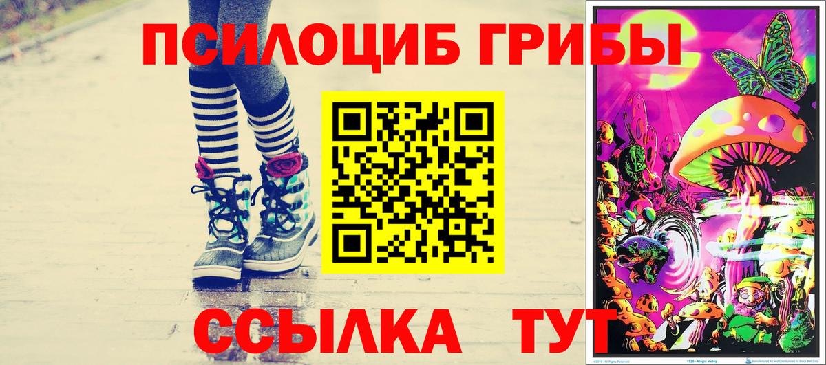 Галлюциногенные грибы Psilocybine cubensis Балтийск