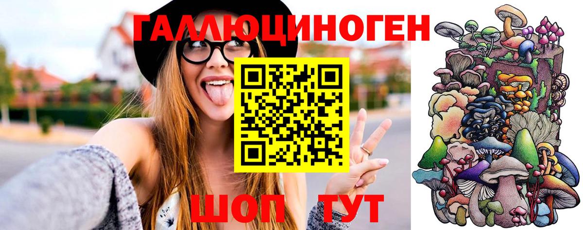 Галлюциногенные грибы MAGIC MUSHROOMS  где продают   Балтийск  Вход с VPN 