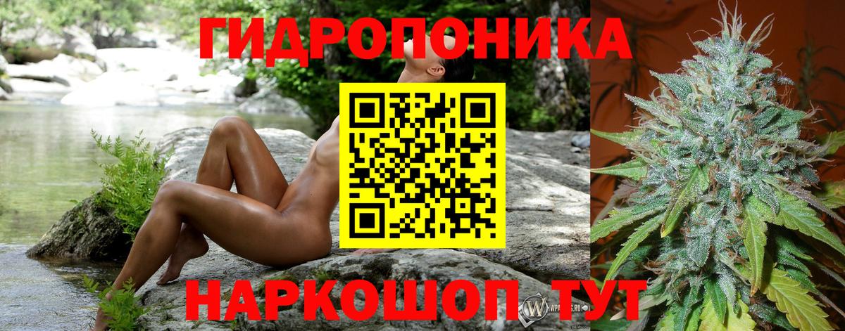 Марихуана Ganja Балтийск